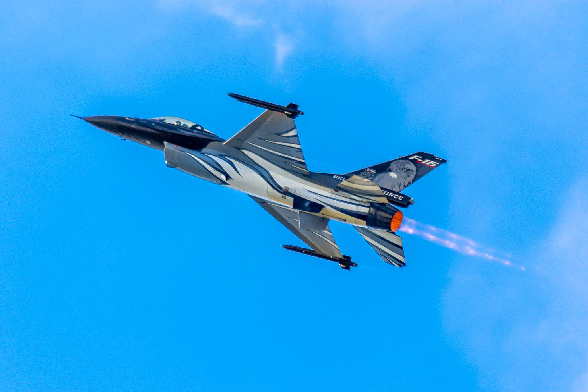 General Dynamics F-16 Fighting Falcon