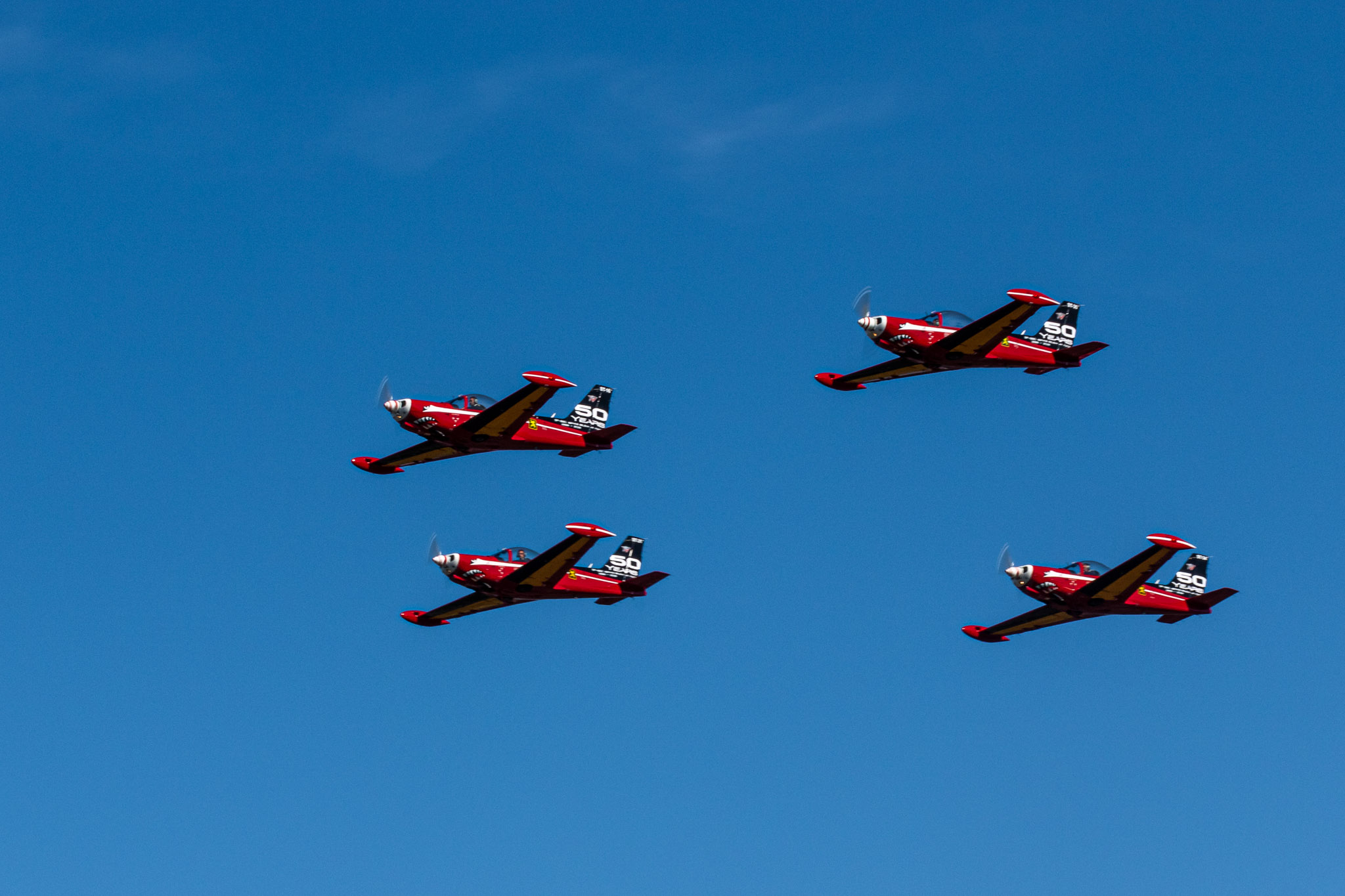 BAF Red Devils Flying SIAI-Marchetti SF.260