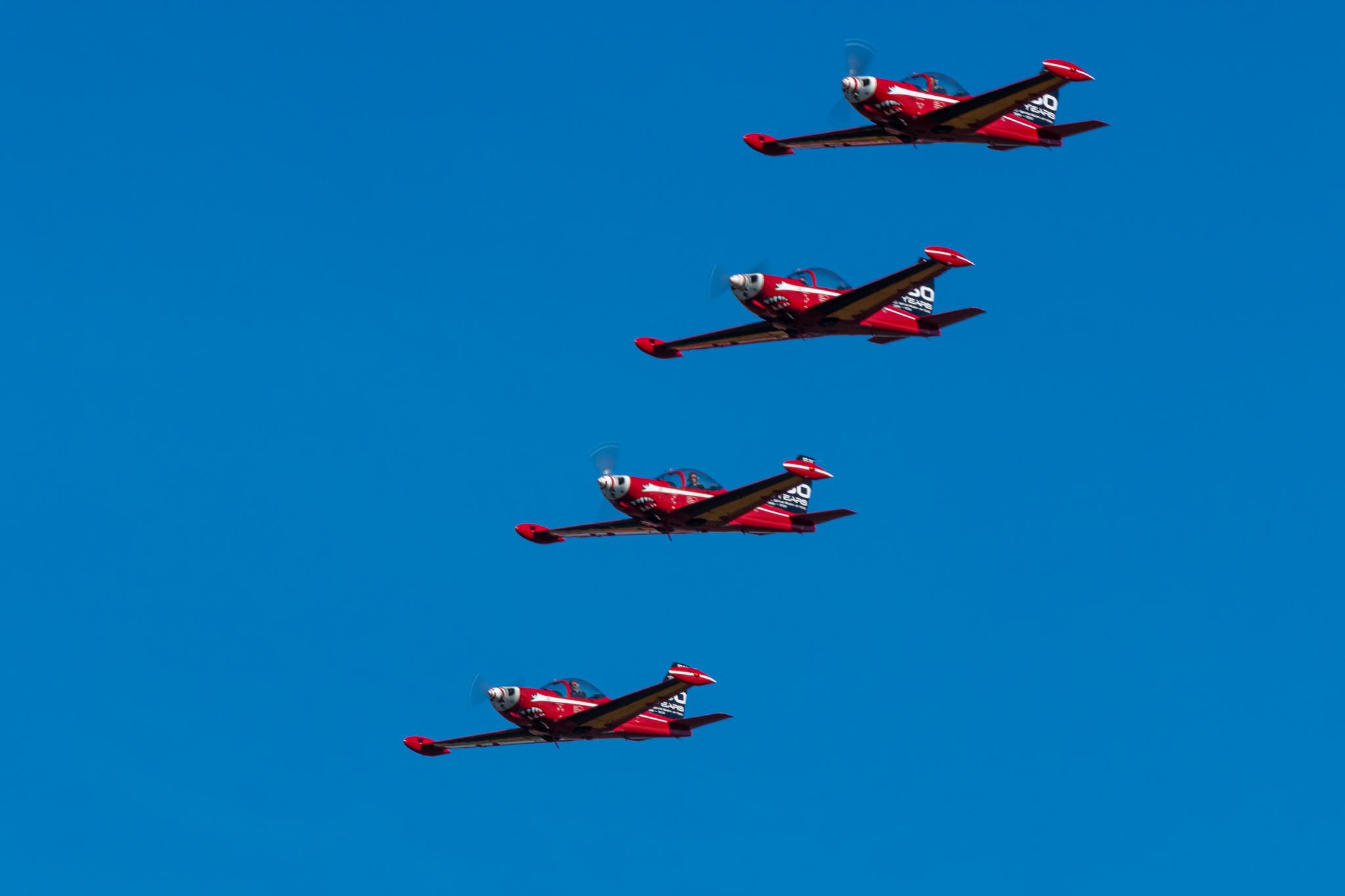 BAF Red Devils Flying SIAI-Marchetti SF.260