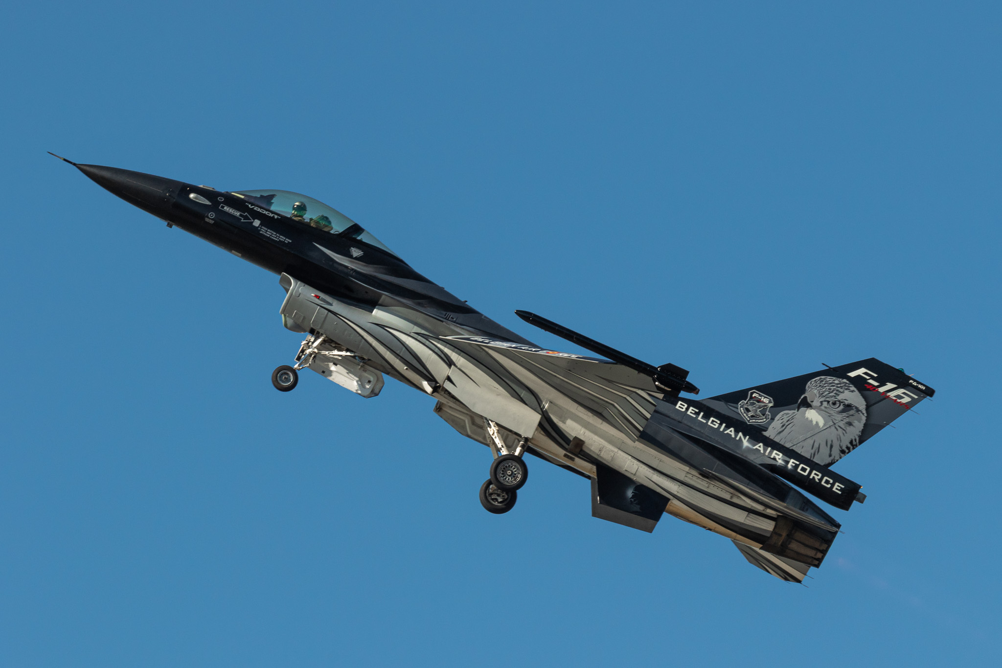 BAF F-16 Solo Display – Dark Falcon